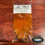 Fish Hunter Marabou