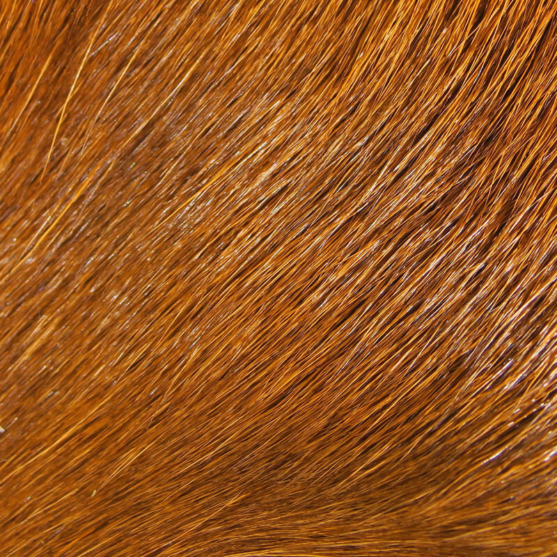 Rust Hareline Deer Belly Hair