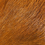 Rust Hareline Deer Belly Hair
