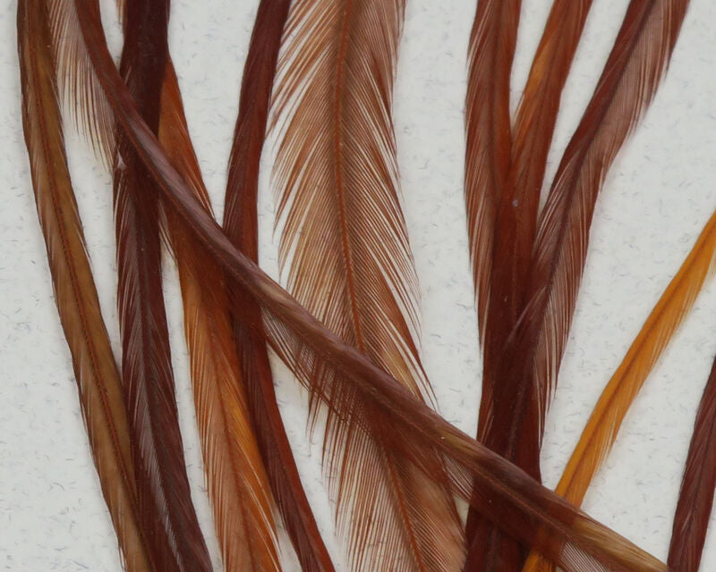 Keough Saddle Value Packs