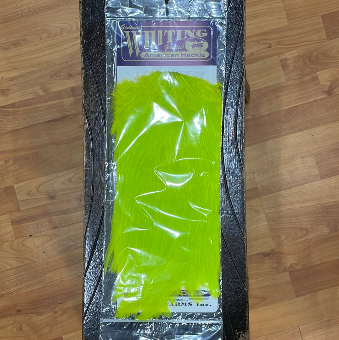 A package of Whiting American Hackle fly tying feathers, featuring bright green feathers with a firm, sturdy quill, wrapped in plastic with a label on top.