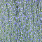 Close-up of Hareline Krystal Flash