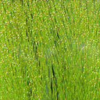 Close-up of green Hareline Krystal Flash