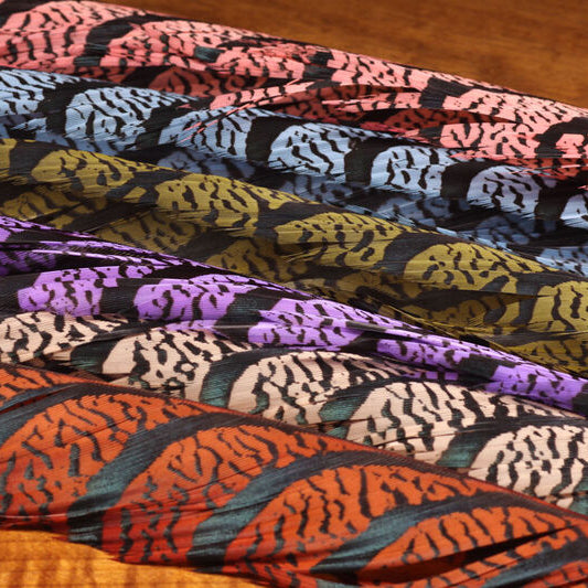 Colorful Hareline Lady Amherst Center Tail Feather on a wooden surface