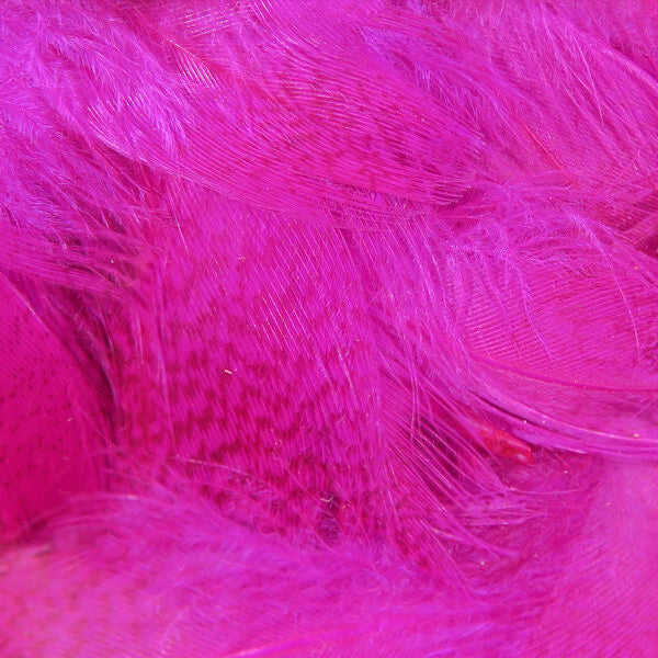 Close-up of bright pink Hareline Mallard Flank feathers