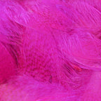 Close-up of bright pink Hareline Mallard Flank feathers