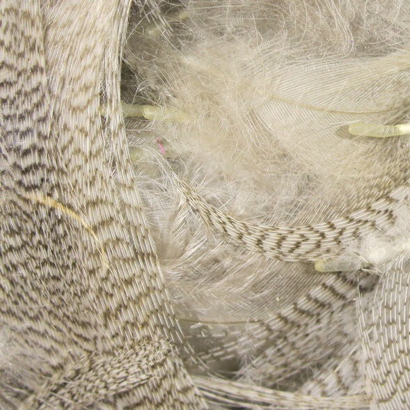 Close-up of Hareline Mallard Flank