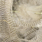 Close-up of Hareline Mallard Flank