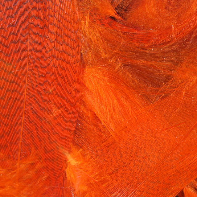 Close-up of bright orange Hareline Mallard Flank