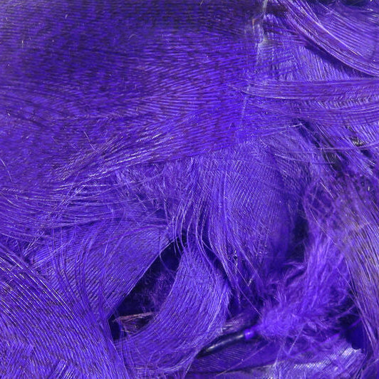 Close-up of purple Hareline Mallard Flank feathers 