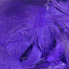 Close-up of purple Hareline Mallard Flank feathers 