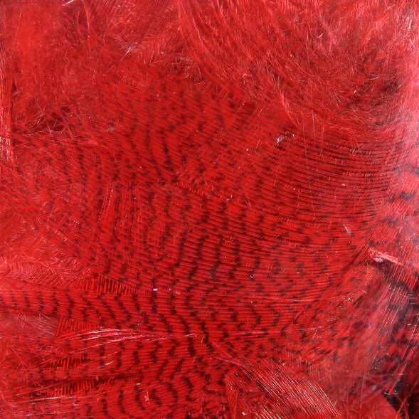 Close-up of red Hareline Mallard Flank