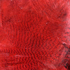 Close-up of red Hareline Mallard Flank