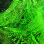 Close-up of bright green Hareline Mallard Flank feathers 