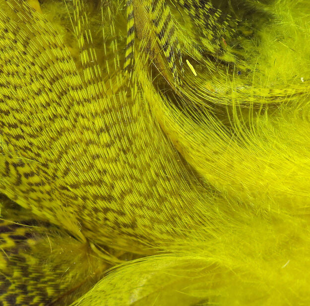 Close-up of bright yellow Hareline Mallard Flank feathers with detailed texture