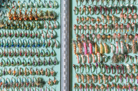 Fishpond Tacky The Original 2X