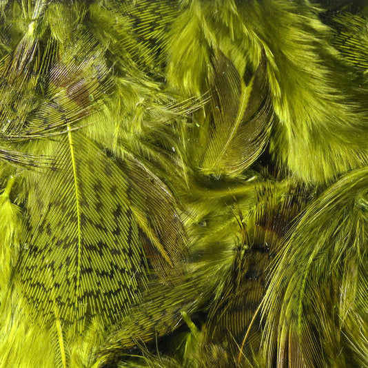 Close-up of green Hareline Premium Hungarian Partridge feathers with detailed texture