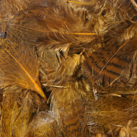 Close-up of brown Hareline Premium Hungarian Partridge feathers