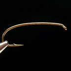 Gold-colored Daiichi 1760 nymph fly fishing hook on a black background