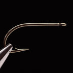 A single gold-colored Daiichi 2450 fishing hook against a black background.