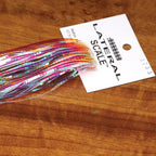 Colorful Hedron Lateral Scale with a 'Lateral Scale' tag on a wooden surface